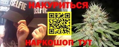 сатива Рыбинск