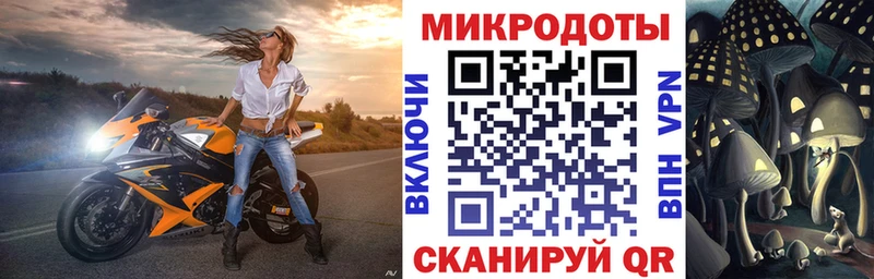 Псилоцибиновые грибы Psilocybe Ливны