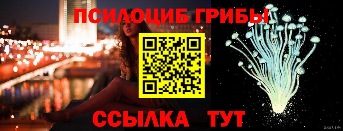 Ливны  Галлюциногенные грибы Psilocybe  Вход с VPN  Галлюциногенные грибы Magic Shrooms 