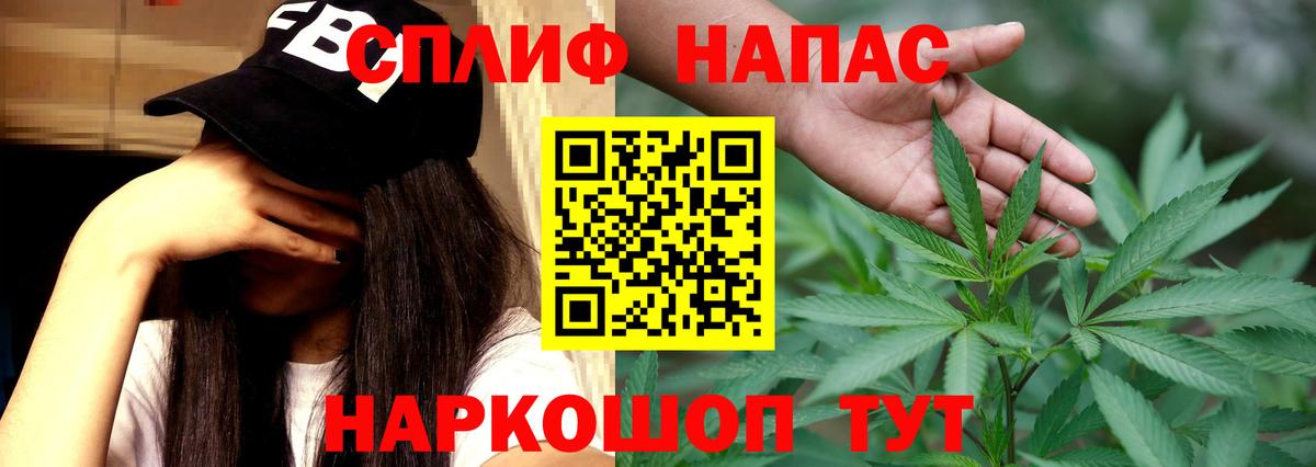 Бошки Шишки планчик Ливны